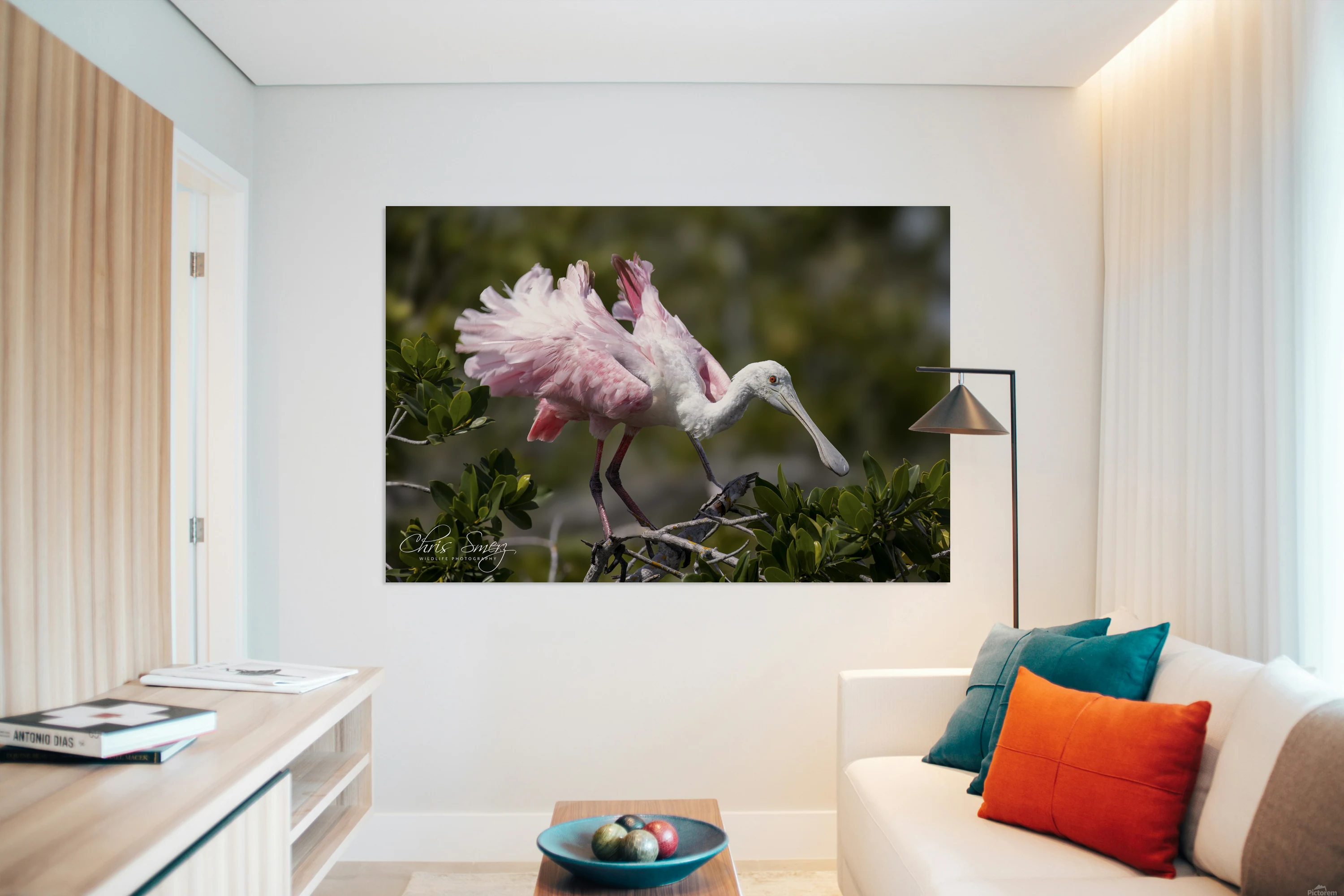 Roseate Spoonbill Shaking Feathers