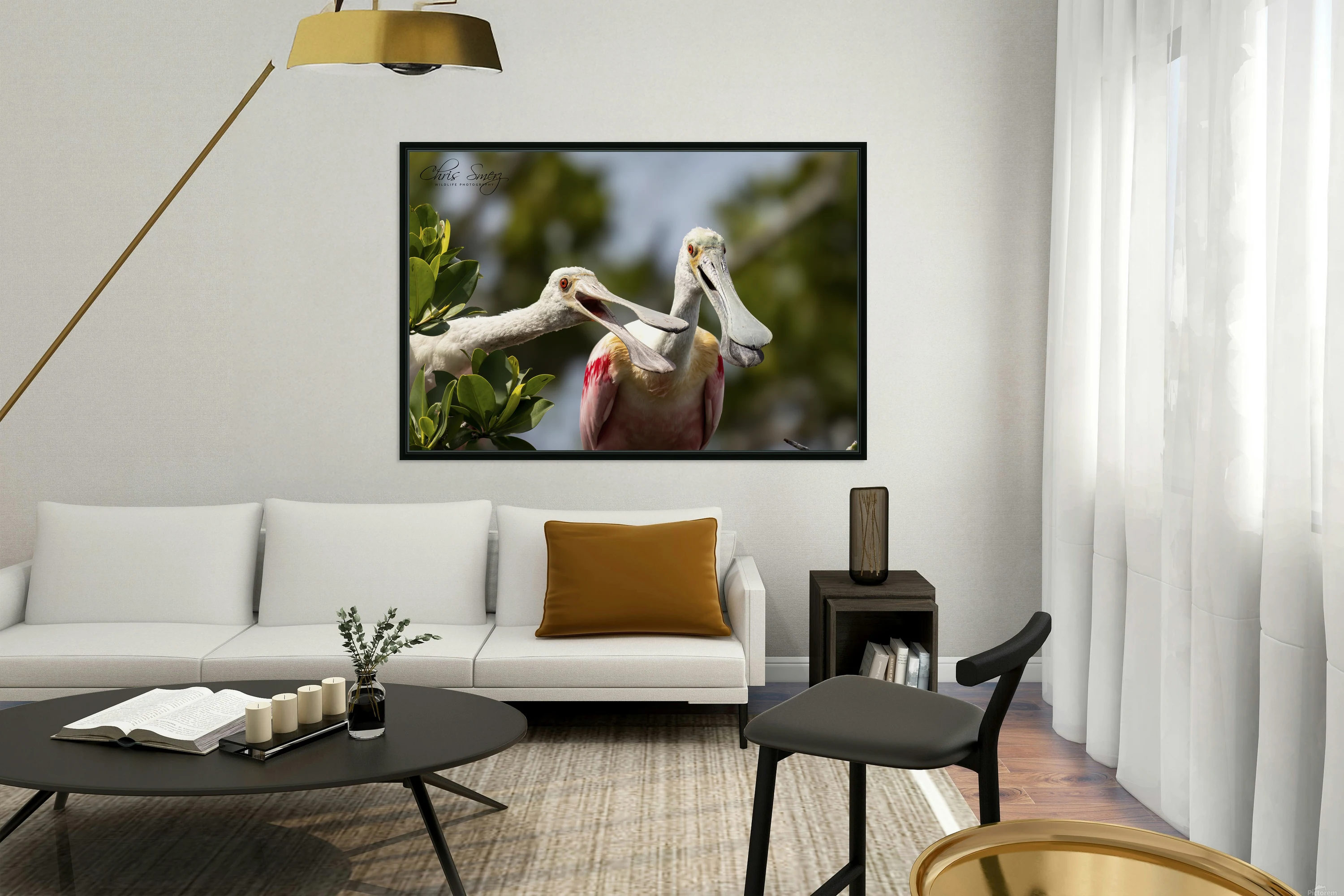 Two Roseate Spoonbills