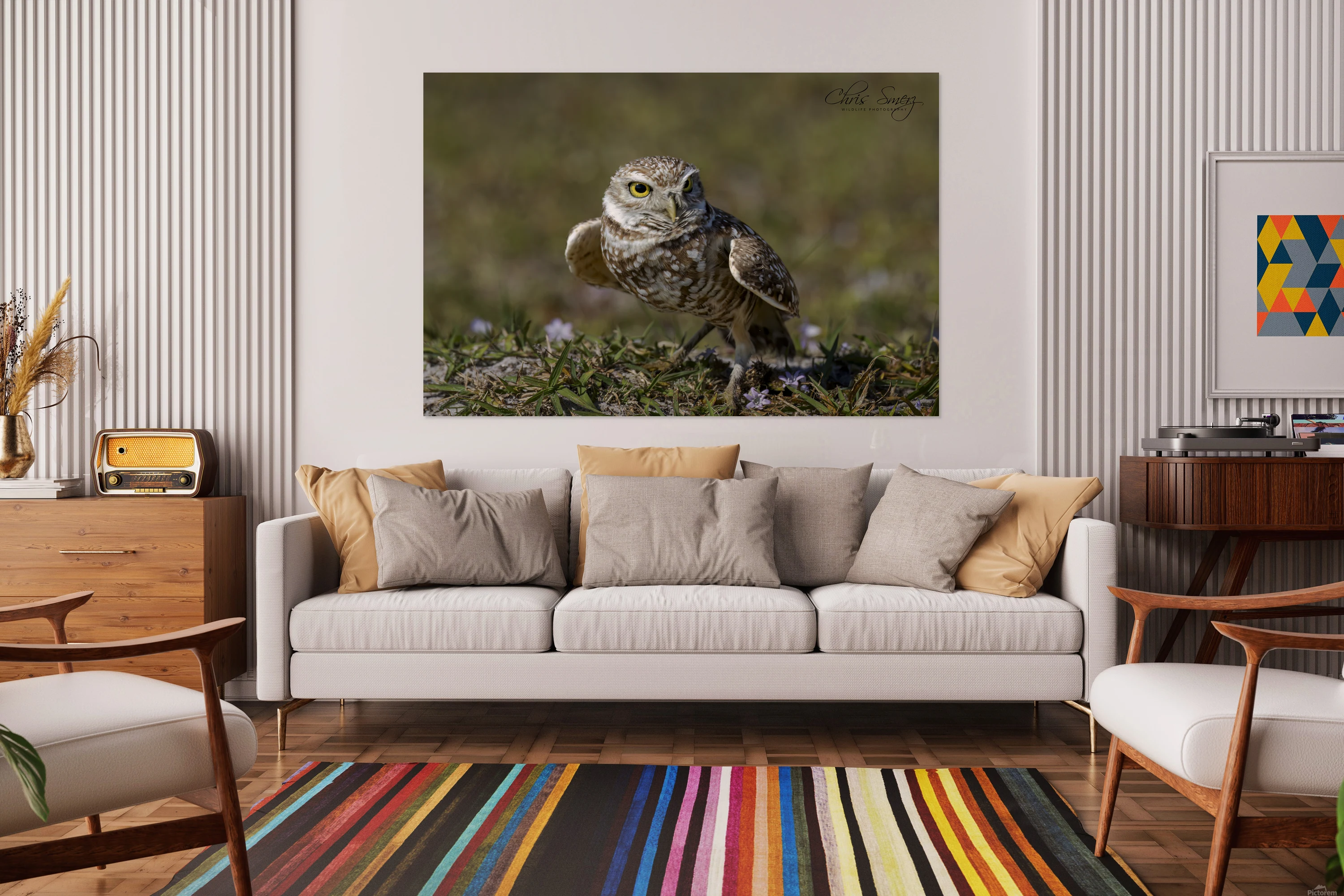 Burrowing Owl Photography 