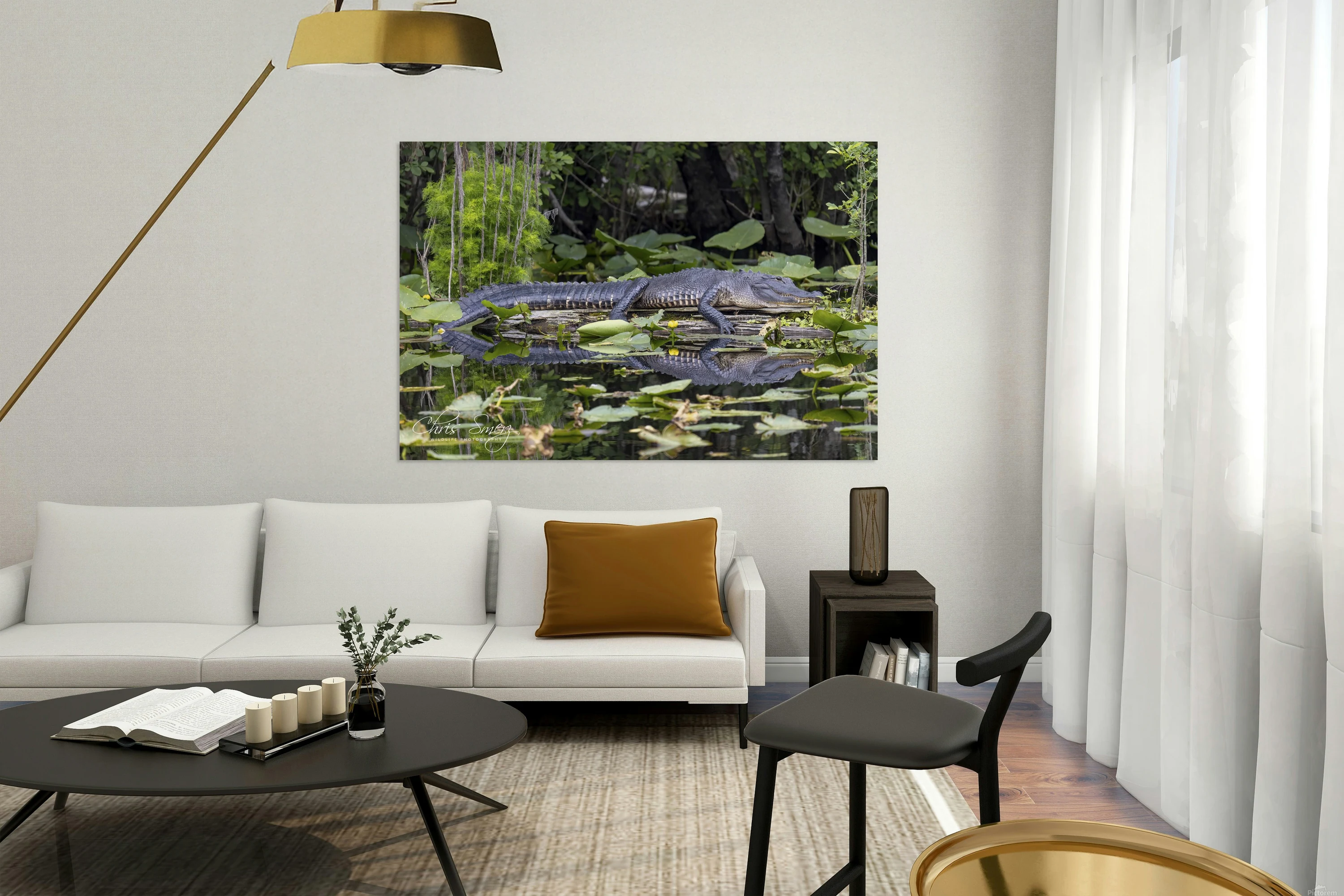 Alligator Resting