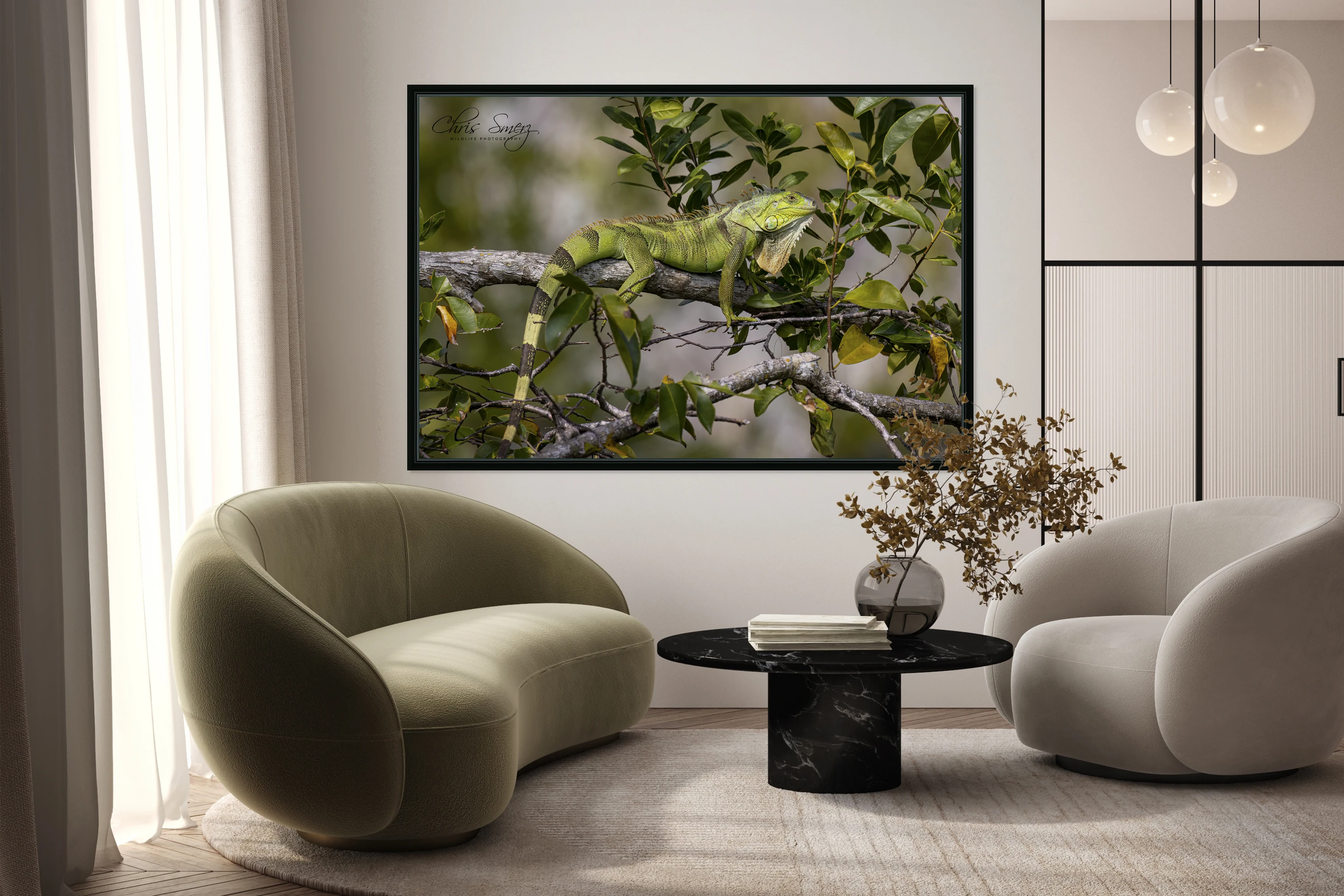 Green Iguana Photography Tree