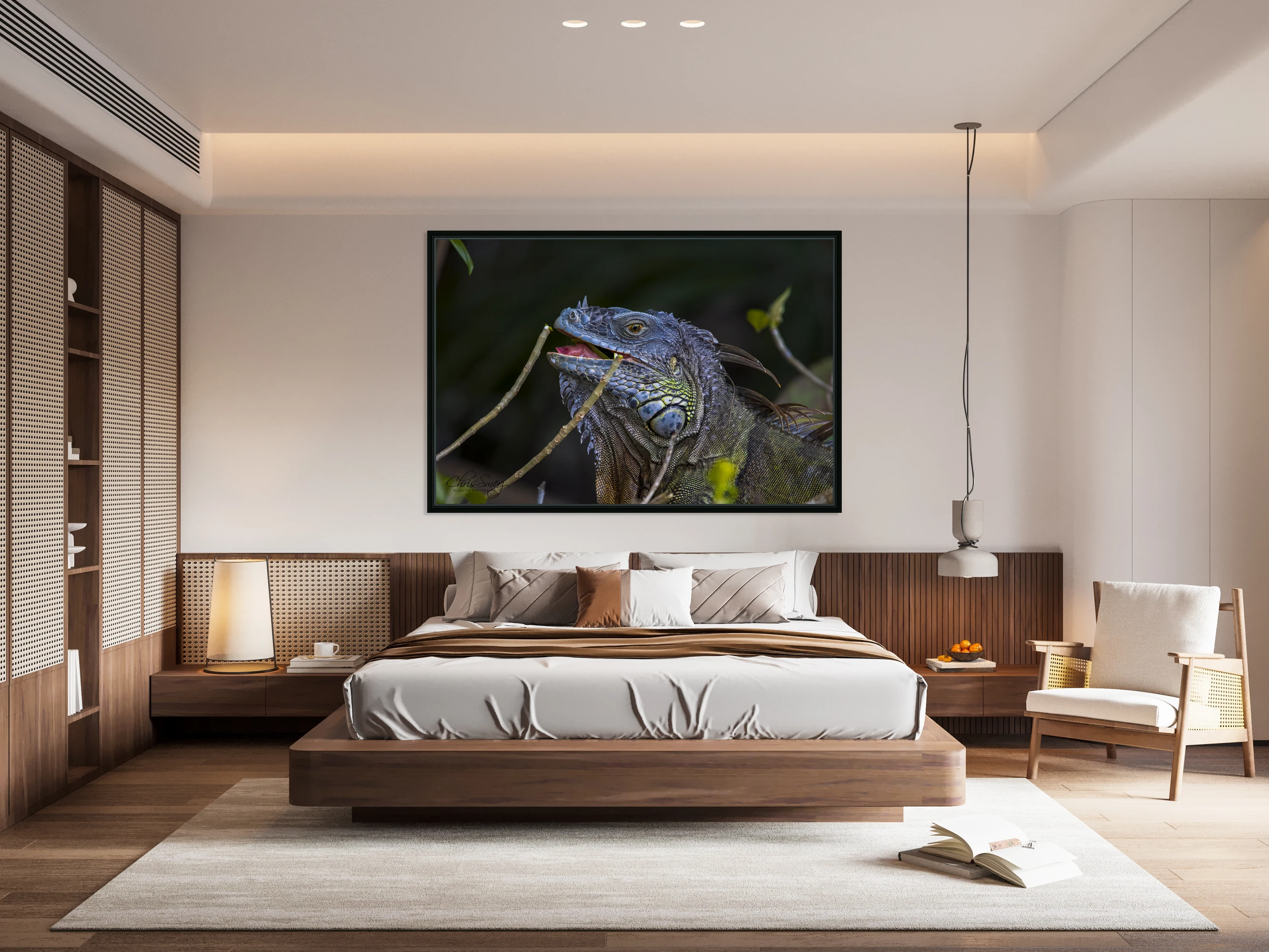 Iguana Nature