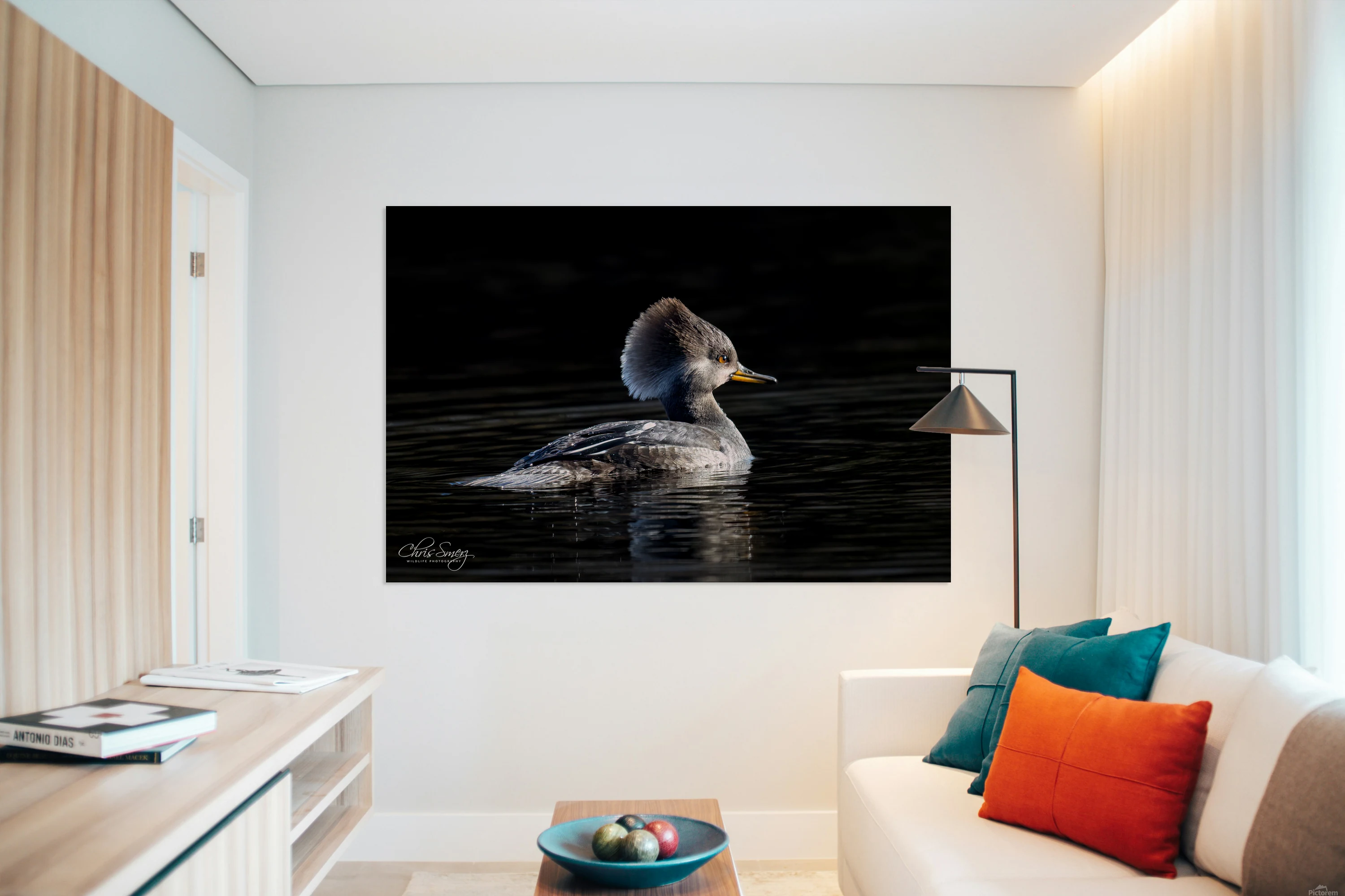 Female Hooded Merganser