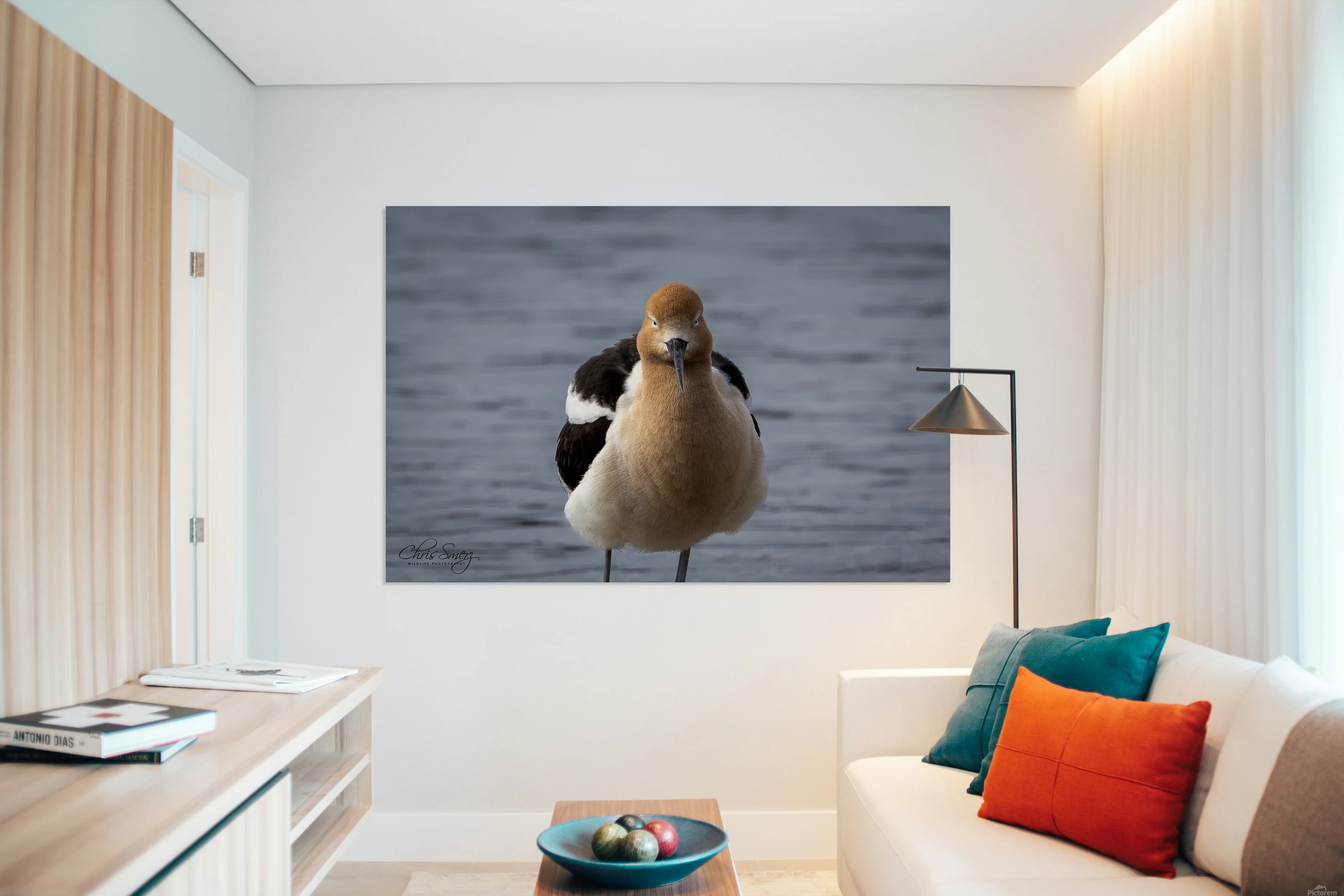 Avocet Photography Portrait