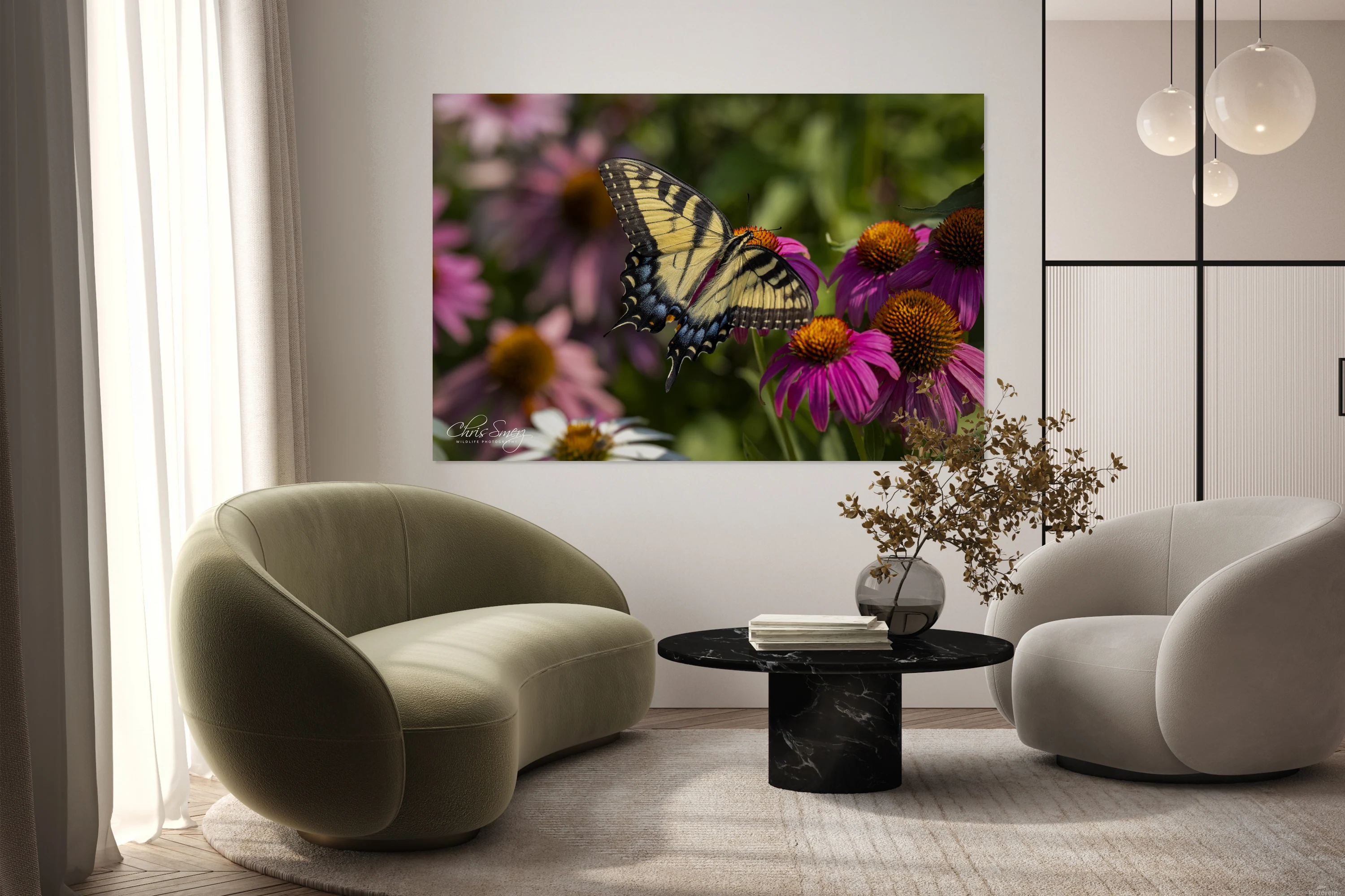 Swallowtail