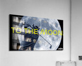 moon Acrylic Print