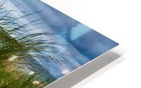 Path Through the Dune Grass HD Metal print