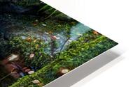 Small Torc Falls 2 HD Metal print