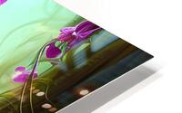 Wild Orchids  HD Metal print