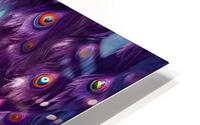 Peacock 1 HD Metal print