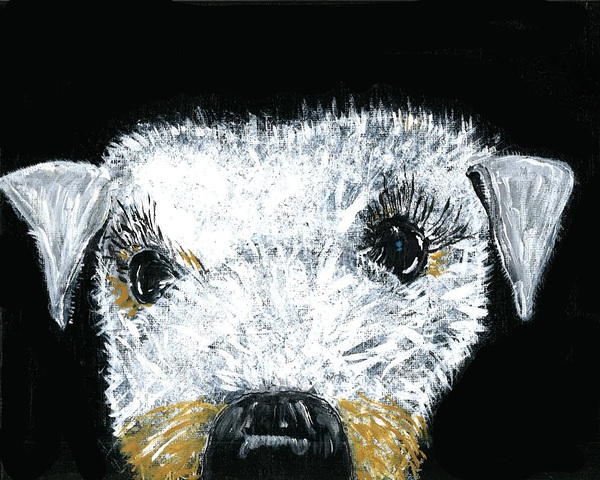 Schnauzer portrait Digital Download