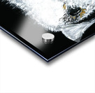 Schnauzer portrait Acrylic print