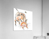 Butterfly Acrylic Print