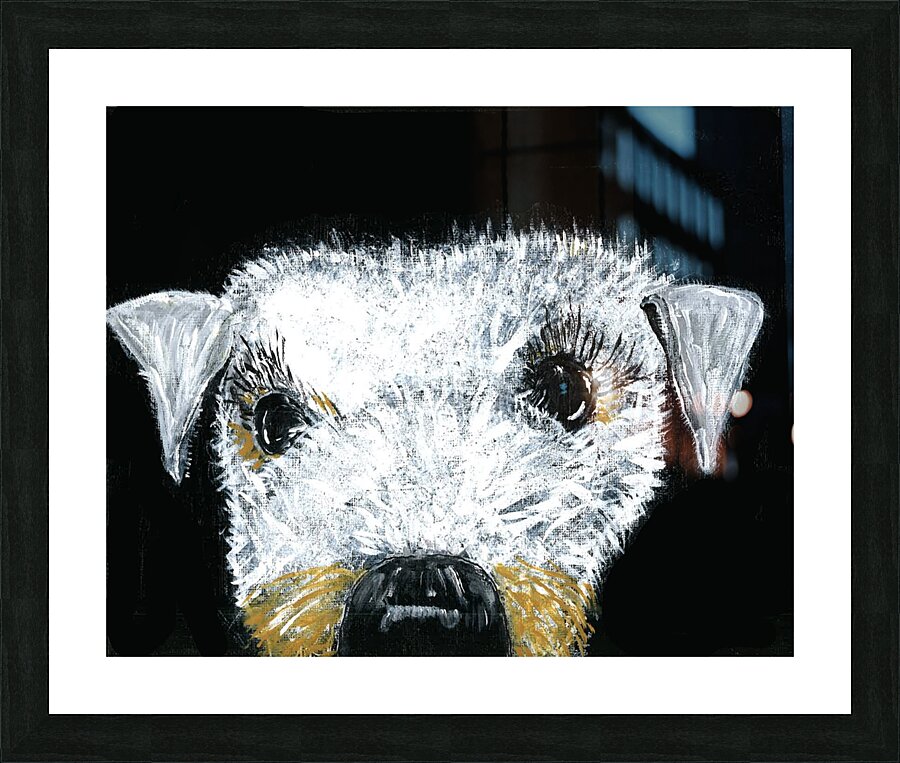 Schnauzer portrait Picture Frame print