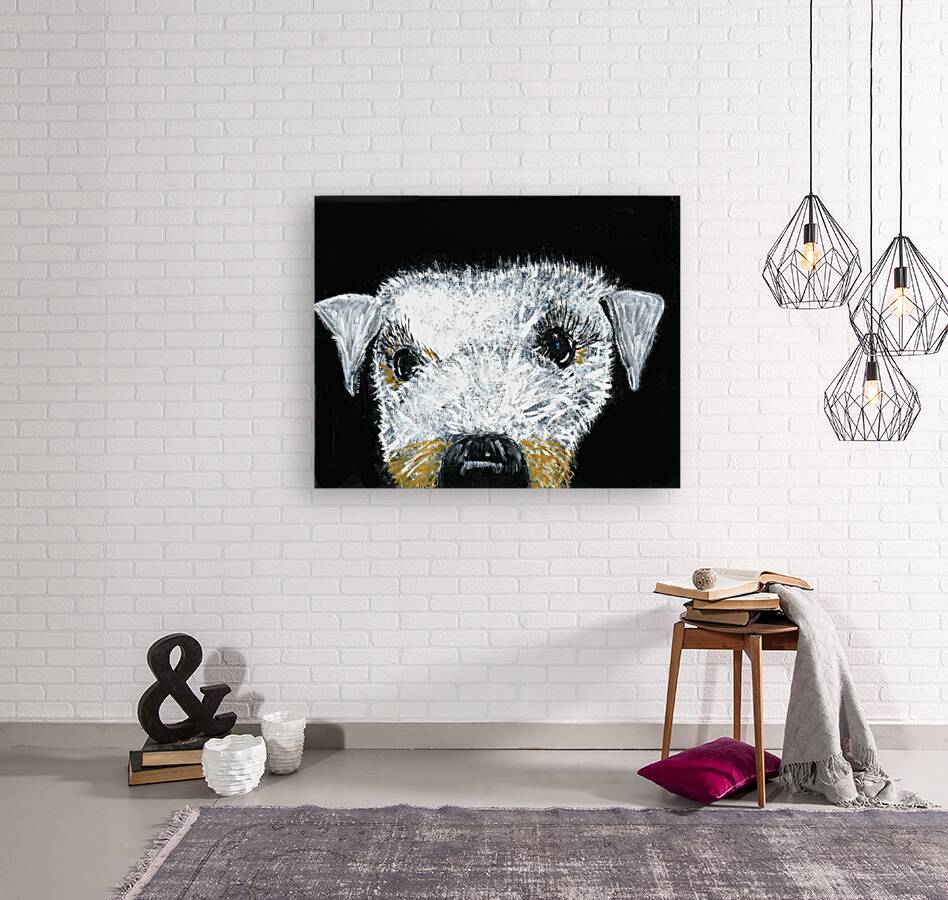 Schnauzer portrait Reproduction