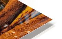 Homescape HD Metal print
