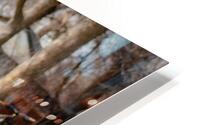 Discover HD Metal print