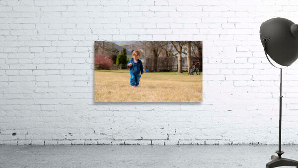 Discover Wall Preview