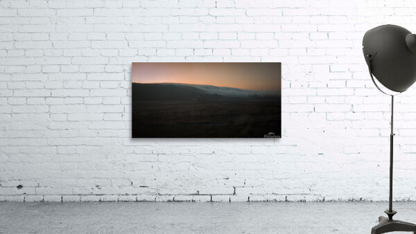 Exuberance Wall Preview