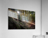 UBC Conservation Lands Acrylic Print