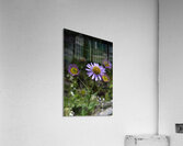 Mountain Flowers Acrylic Print