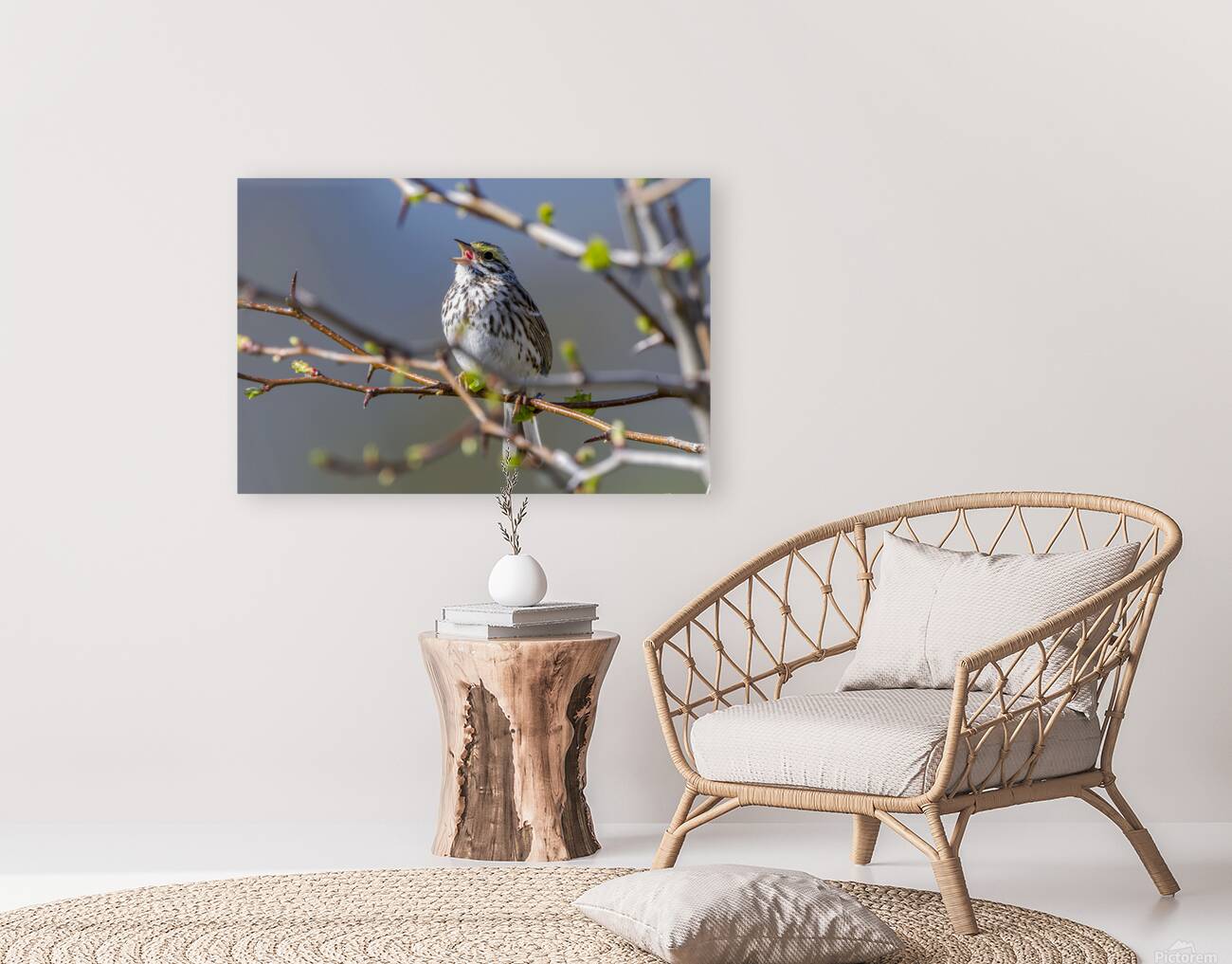 Singing Bird Reproduction