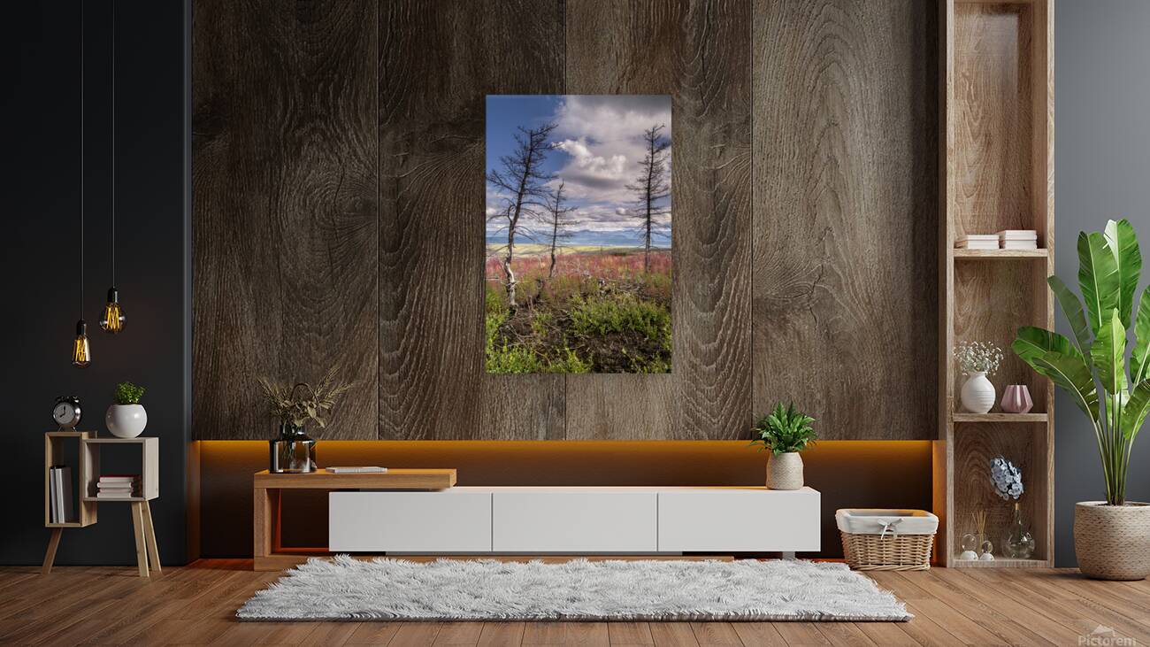 Arctic Trees Reproduction