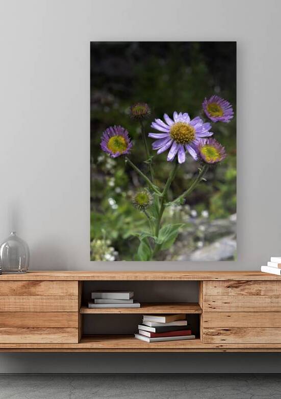 Mountain Flowers Reproduction
