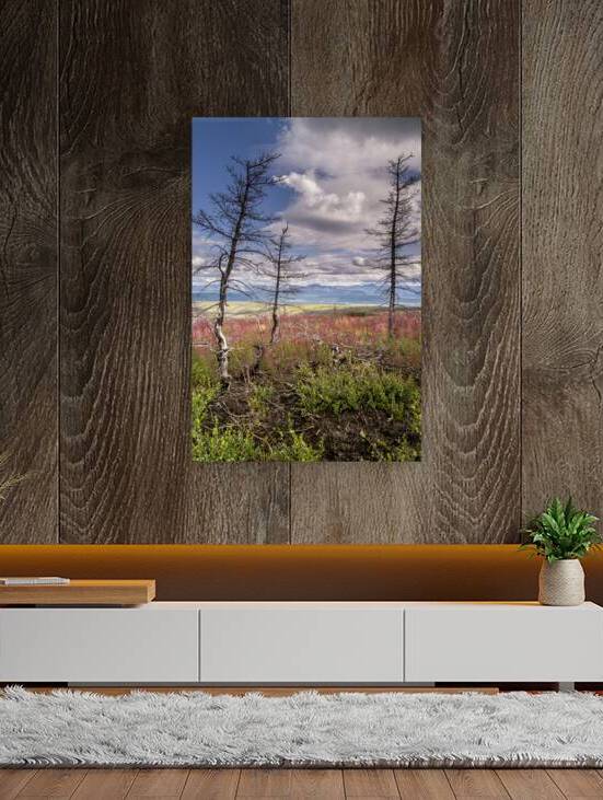 Arctic Trees Reproduction