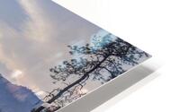 Arrow Lake Tree Sunset HD Metal print
