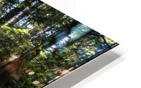 UBC Conservation Lands HD Metal print