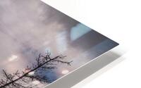 Arctic Trees HD Metal print