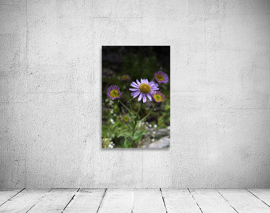 Mountain Flowers Wall Preview