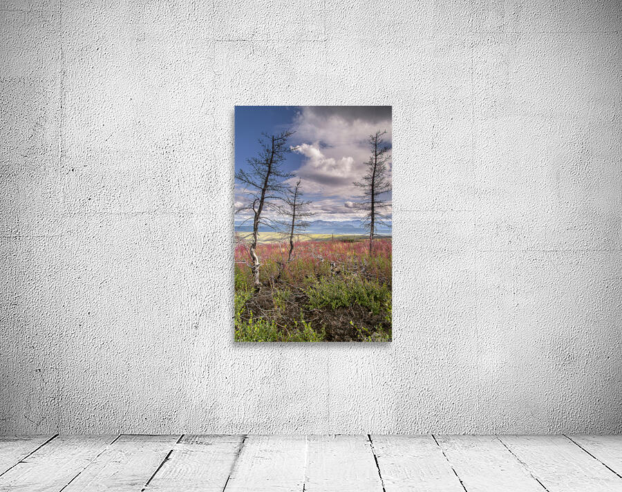 Arctic Trees Wall Preview