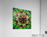 Green Virosprere abstract  Acrylic Print