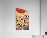 Adorable Blossoms  Acrylic Print