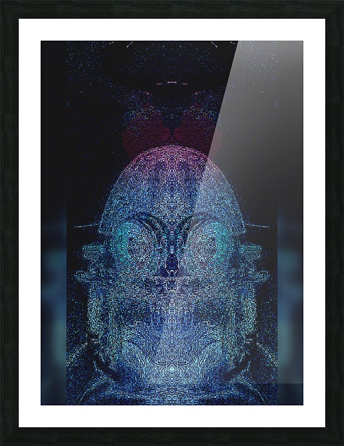 The Vistor Picture Frame print