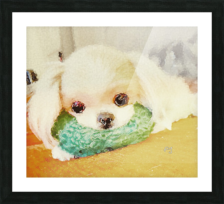 Good Impression Puppy  Picture Frame print