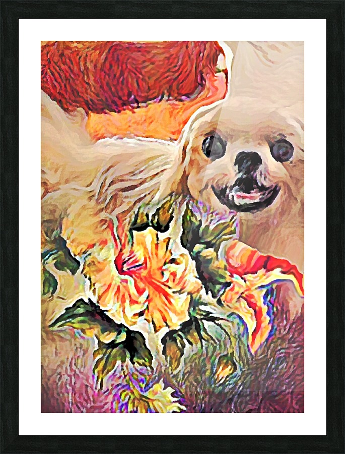 Adorable Blossoms  Picture Frame print