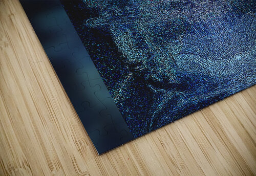 The Vistor Frosty Jenson puzzle