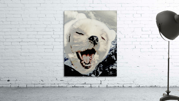 Cutest Everest Wall Preview