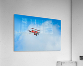 Red Baron - D75 6536 Acrylic Print