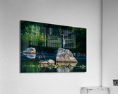 Standing guard - D753709 Acrylic Print
