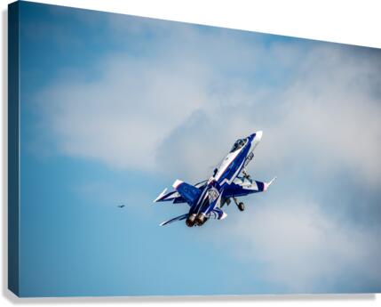 Homage - D75 6402 Canvas Print