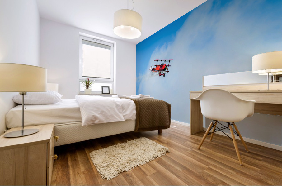 Red Baron - D75 6536 Mural print