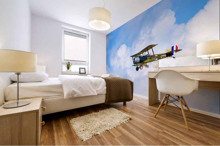 Flying Ace - D75 6568 Mural print