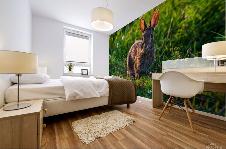 Peter Cottontail - D755539 Mural print