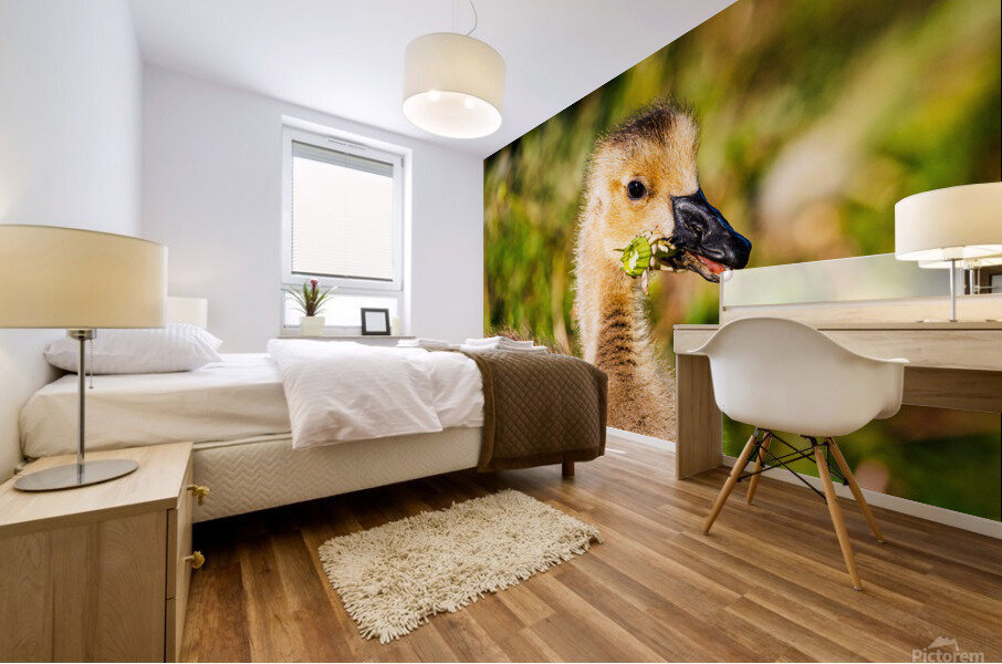 Weed & Feed - D759286 Mural print