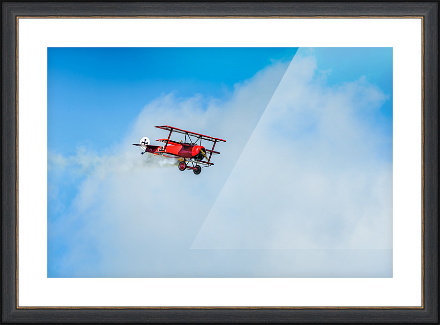 Red Baron - D75 6536 Picture Frame print
