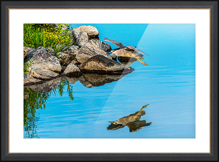 Mirror mirror - D752335 Picture Frame print
